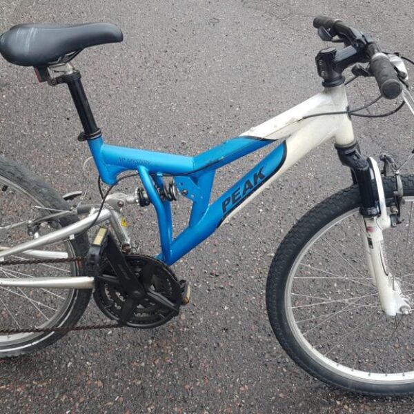 Heldämpad MTB Peak 24" 2