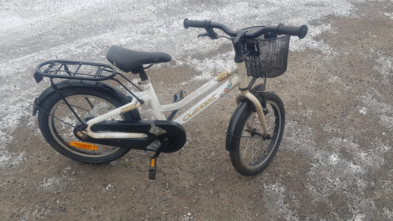 WhatsApp Image 2026-02-05 at 13.11.12