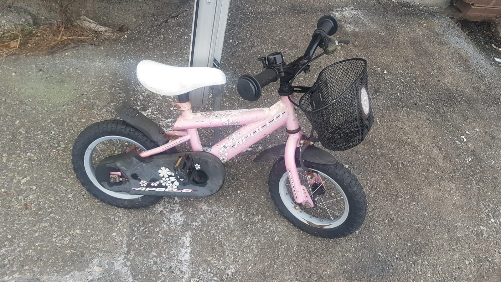 WhatsApp Image 2026-02-05 at 13.11.59