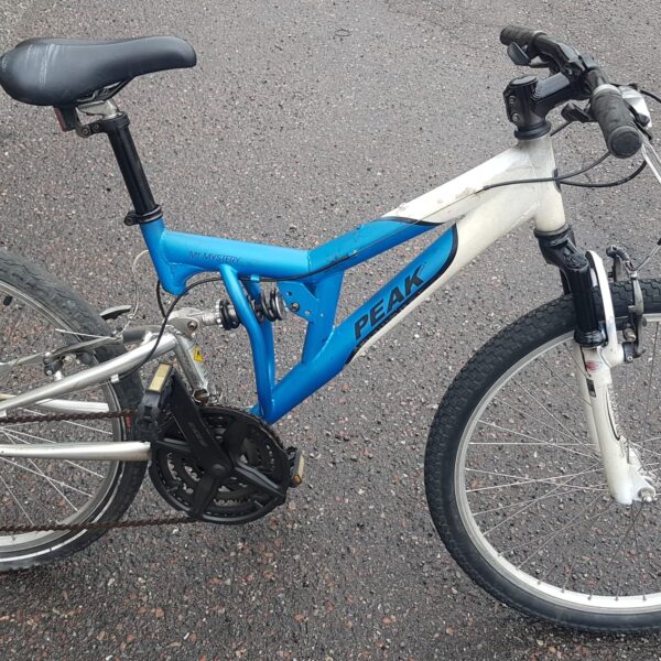 Heldämpad MTB Peak 24" 2