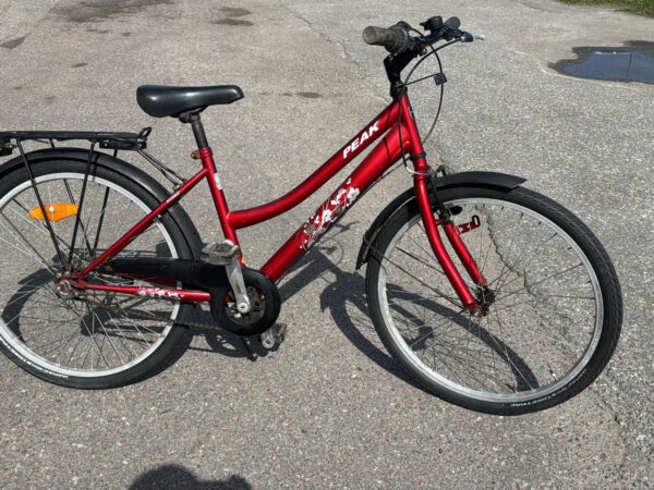 Flickcykel Peak 24"