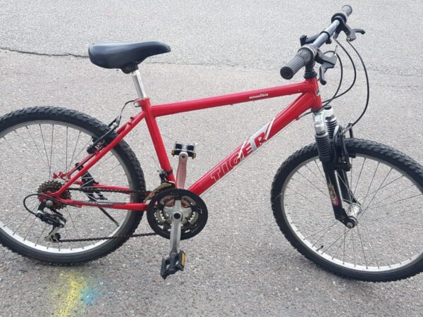 MTB Tiger 24"