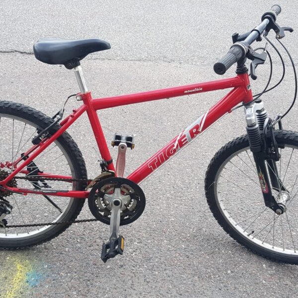 MTB Tiger 24"
