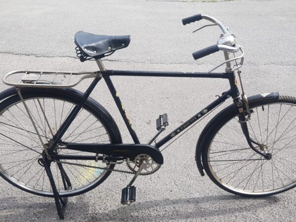 Retro Phoenix 28"