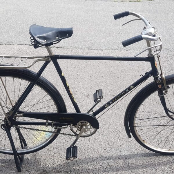 Retro Phoenix 28"