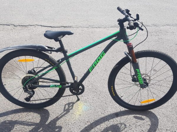 MTB Frog 26"